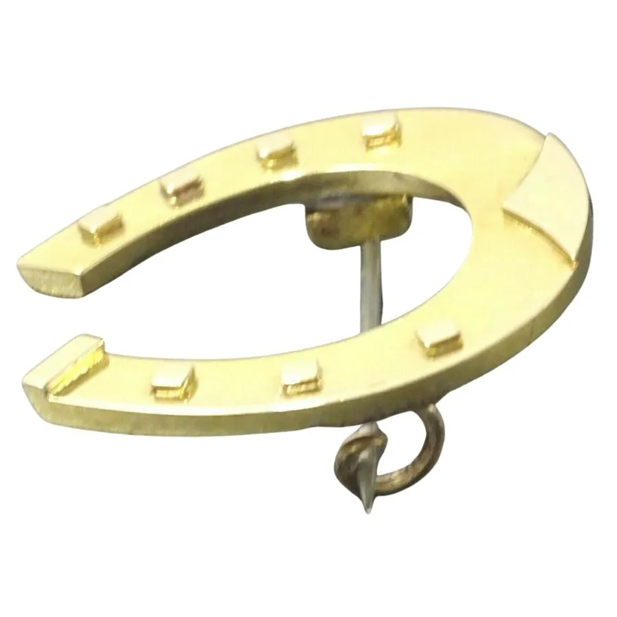 15ct Yellow Gold Horseshoe Brooch