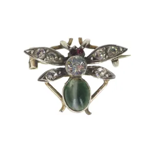 Antique Victorian Silver Cats Eye Insect Brooch