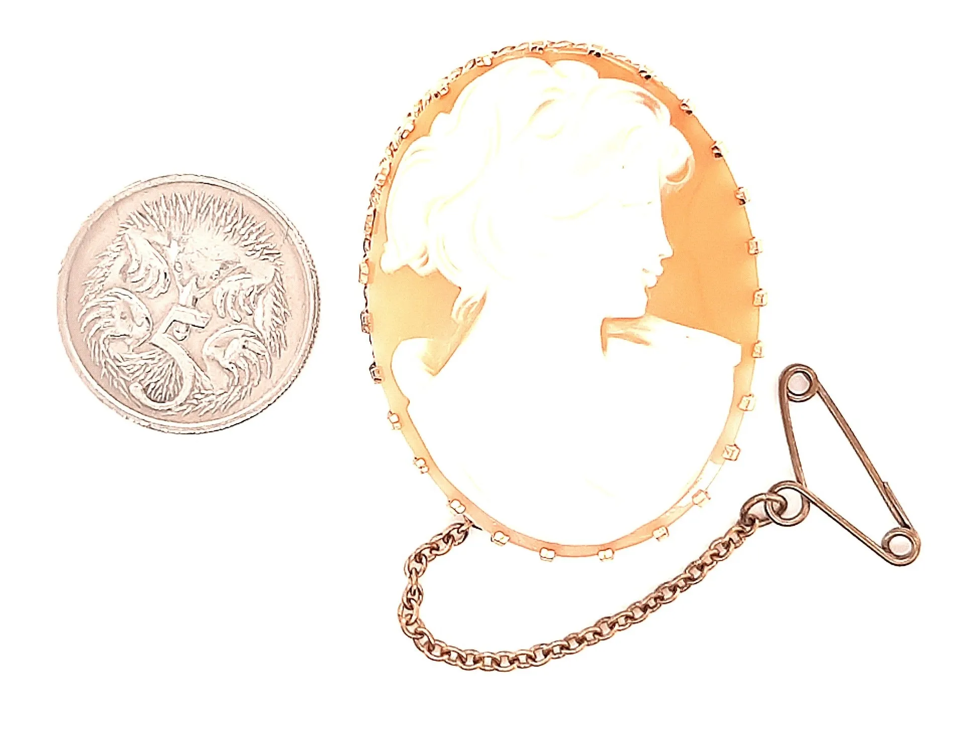 Cameo Portrait Vintage Brooch with Gold Plated Surround