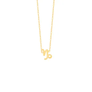 Capricorn Zodiac Sign Necklace