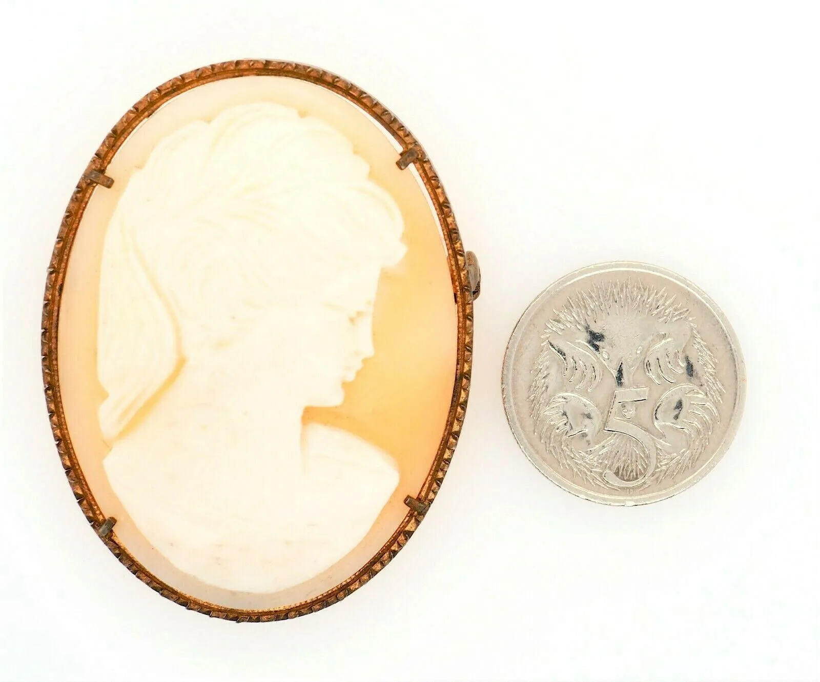 Vintage Shell Cameo Portrait Brooch Pin Fashion Jewellery